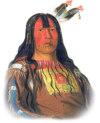 Picture of a Blackfoot