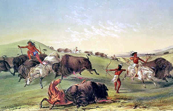 buffalo-hunt-caitlin