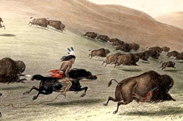 Buffalo Hunt using a lance as a hunting weapon