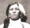 Native Indian Chiefs: Picture Image of Chief Crazy Horse