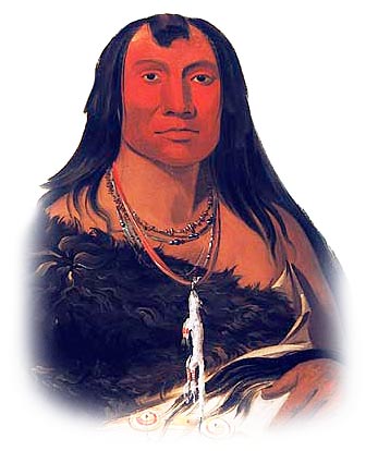 Picture of a Crow Indian