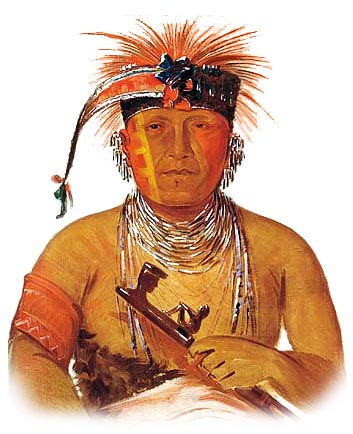 Picture of a Otoe