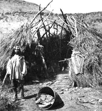 Great Basin Native Indians: Paiute Grass House