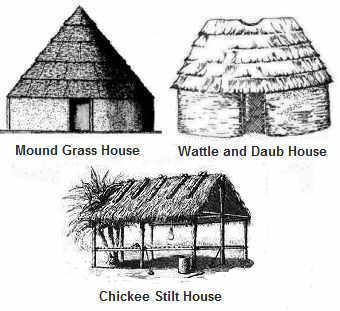 Mound Grass, Wattle and Duab, Chickee House