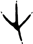 Bird Track Symbol