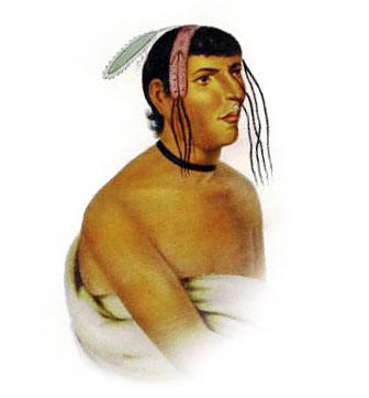 Picture of a Chippewa Chief by Charles Bird King