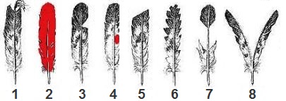 Native American Headdress Feathers 