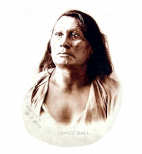 Lakota Sioux Chief Gall