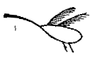 Geese Symbol
