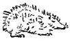 Porcupine Symbol