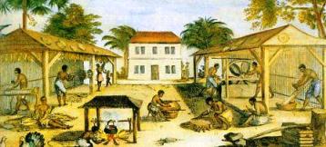 Slaves working in a tobacco plantation