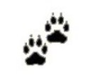 Wolf Tracks Symbol